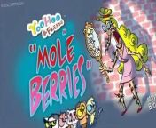 YooHoo & Friends YooHoo & Friends E025 Mole Berries from mc berry