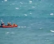 humpback whale rescued by RNLI lifeboat from the voice india video download